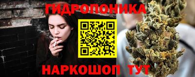 гидра Кингисепп