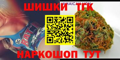 гидра Кингисепп