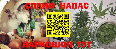 гидра Кингисепп