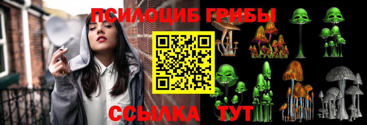 Галлюциногенные грибы Psilocybine cubensis  Вход с VPN  Качканар 