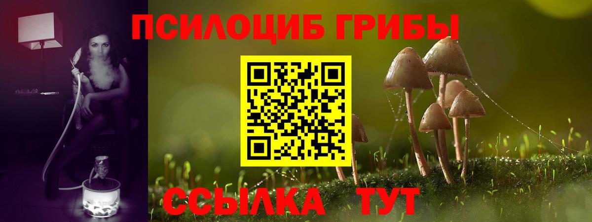 Псилоцибиновые грибы Psilocybe Качканар